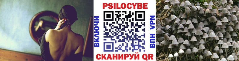 Галлюциногенные грибы Cubensis  Дно 